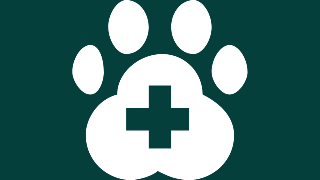 Animal Care & Pet Services