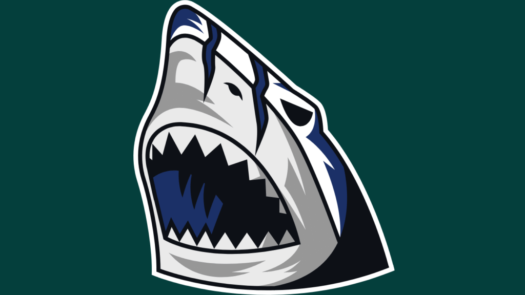 Esports Organisations