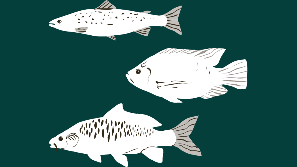 Fisheries and Aquaculture